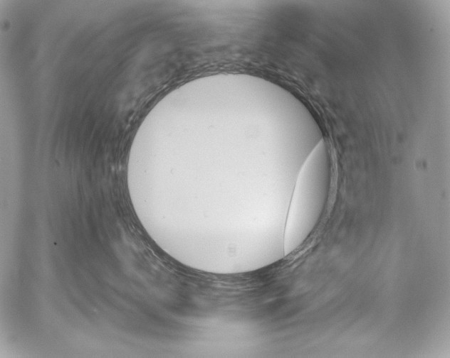 X0000052610672200507292150