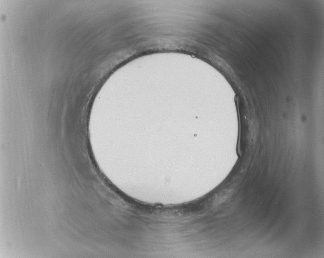 X0000052610673200507292149