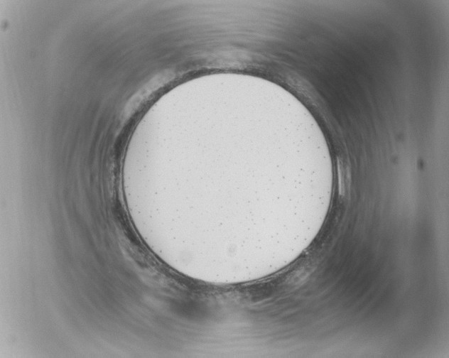 X0000052610675200507292149