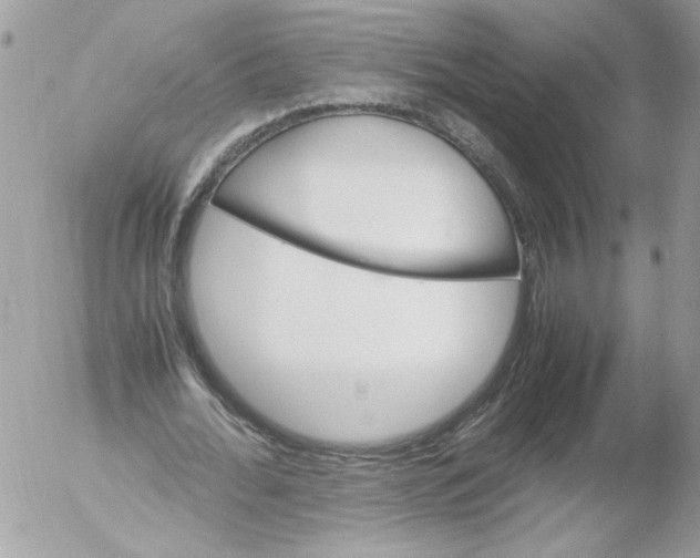 X0000052610676200507292149