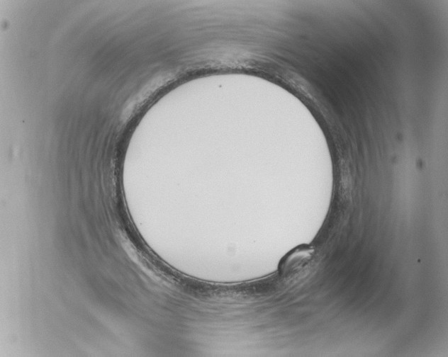 X0000052610677200507292149