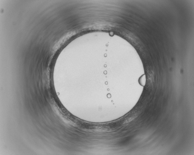 X0000052610678200507292149