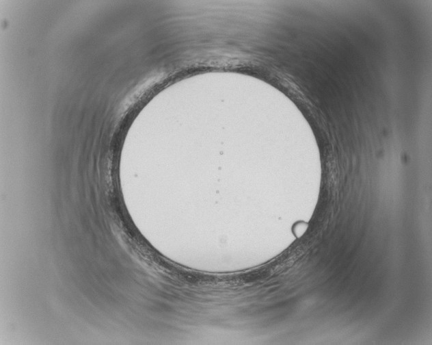 X0000052610679200507292149