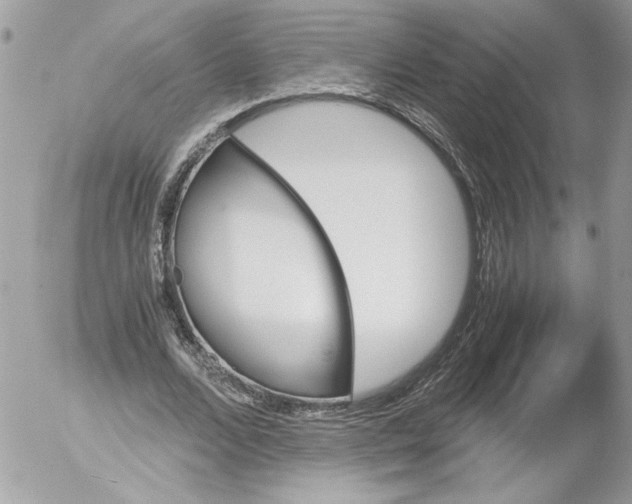 X0000052610680200507292149