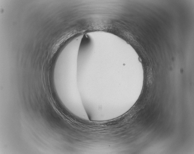 X0000052610683200507292149