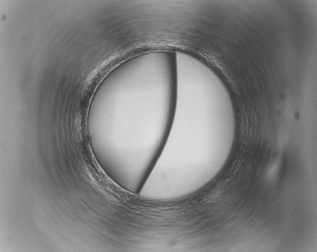 X0000052610684200507292149