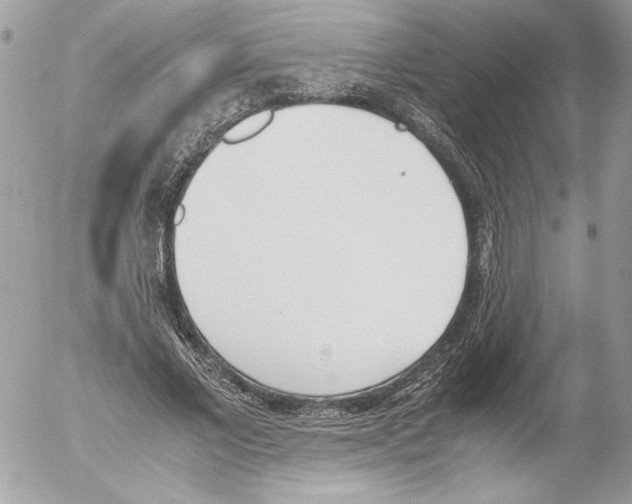 X0000052610685200507292149