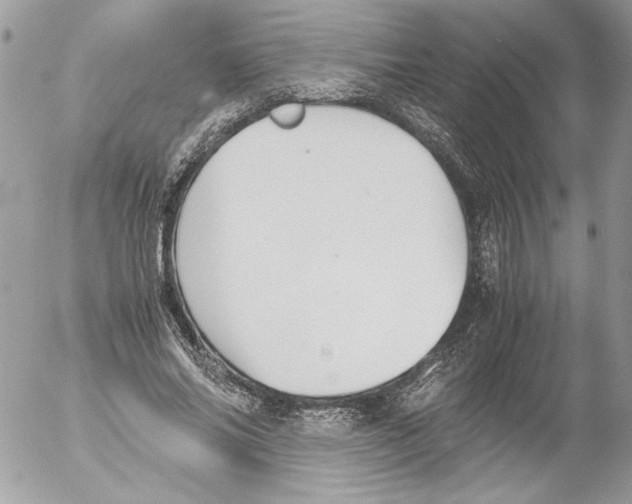 X0000052610686200507292149