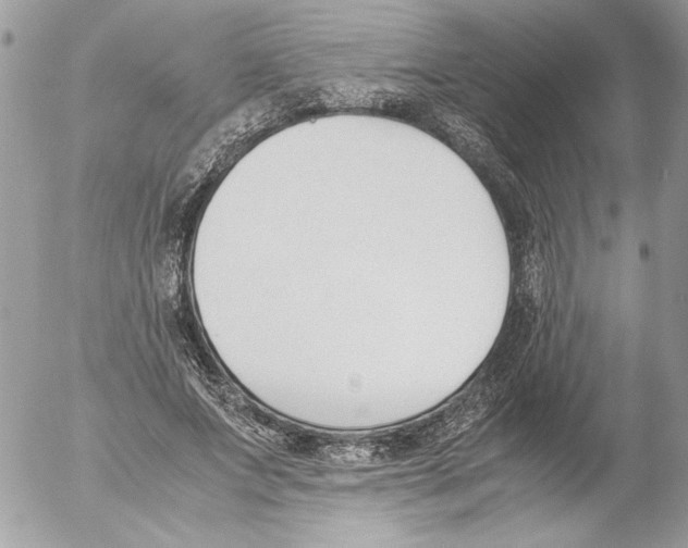 X0000052610687200507292149