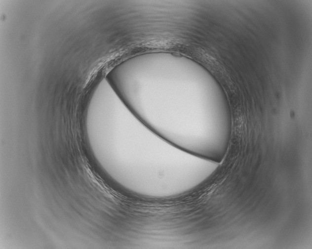 X0000052610688200507292149