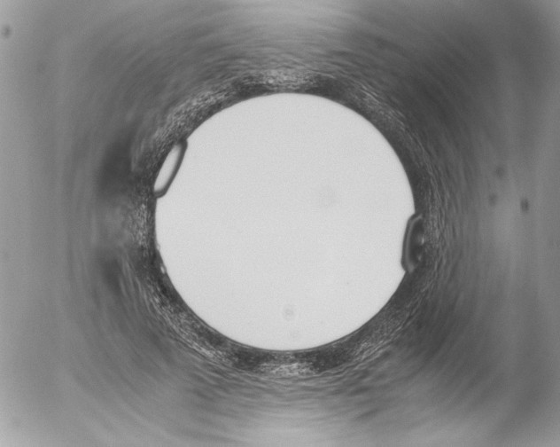 X0000052610689200507292149