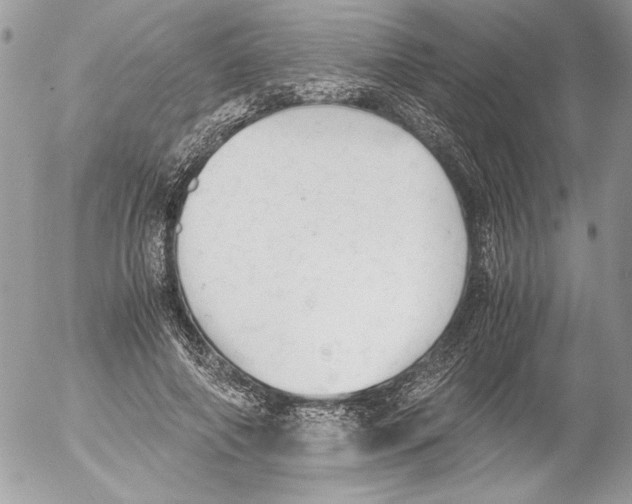 X0000052610690200507292149