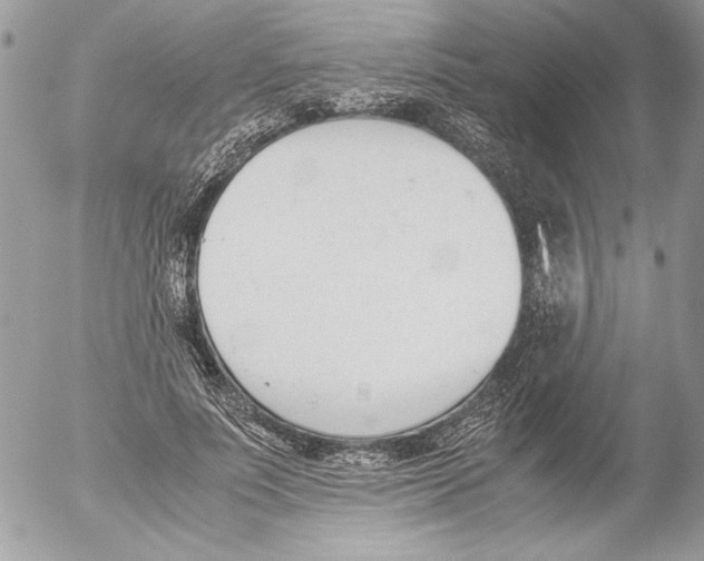 X0000052610691200507292149