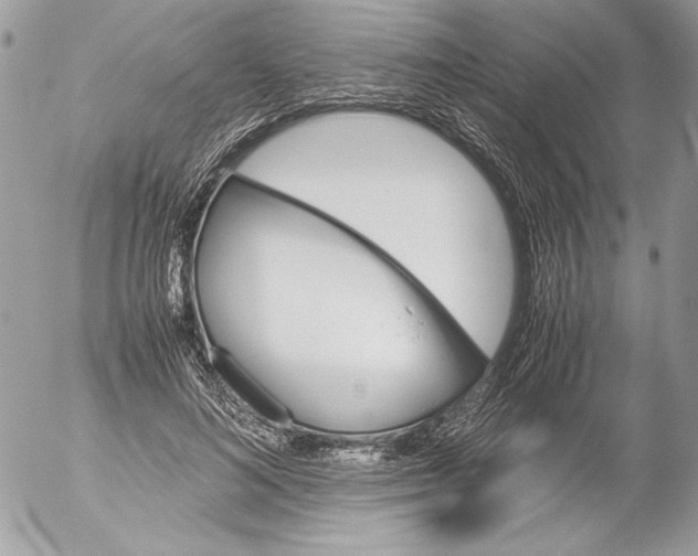 X0000052610692200507292149