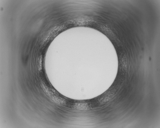 X0000052610694200507292149