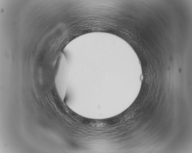 X0000052610695200507292149