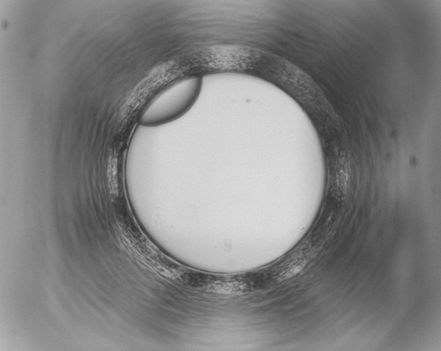 X0000052610696200507292149