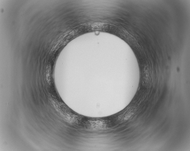 X0000052610698200507292149