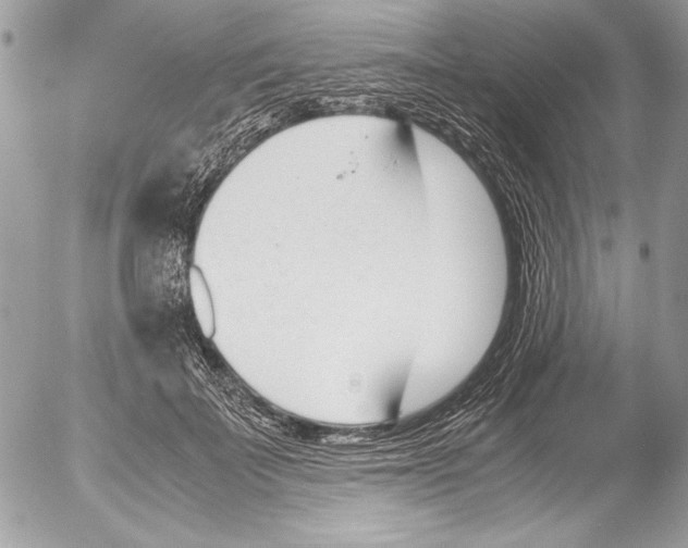 X0000052610699200507292149