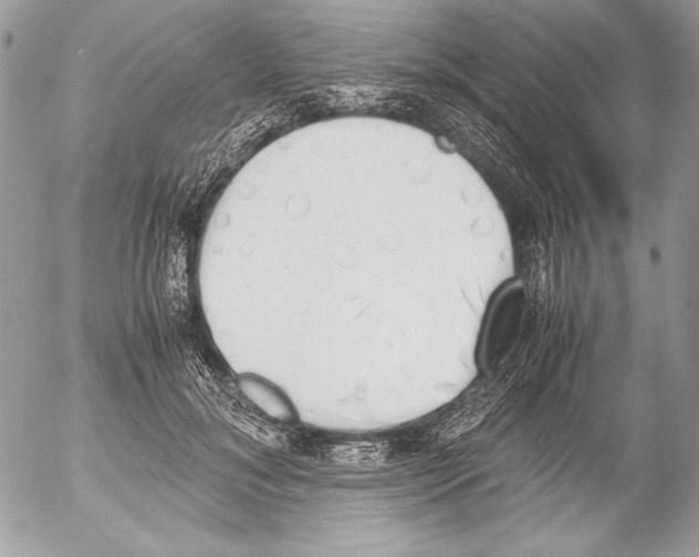 X0000052610700200507292149