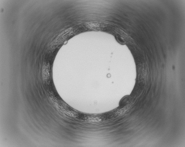 X0000052610702200507292149