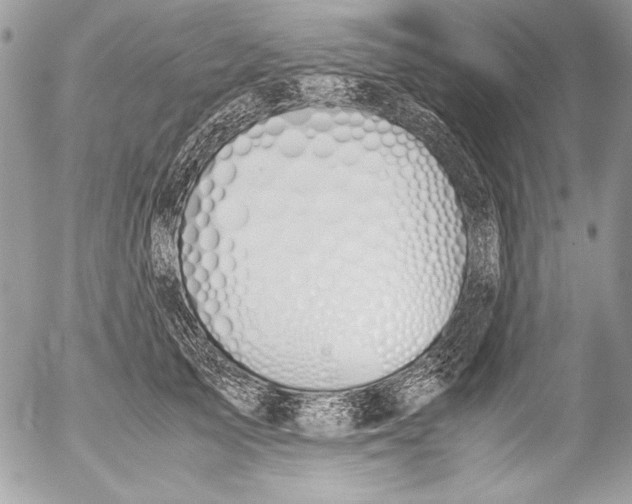 X0000052610705200507292149