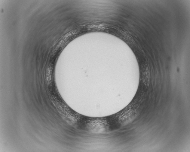 X0000052610708200507292149