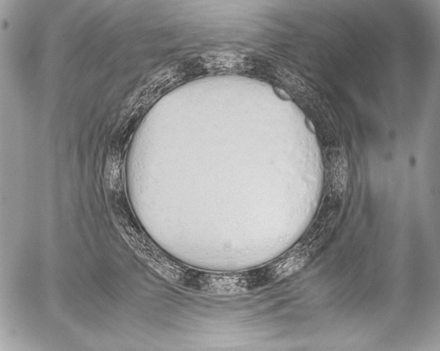 X0000052610709200507292149