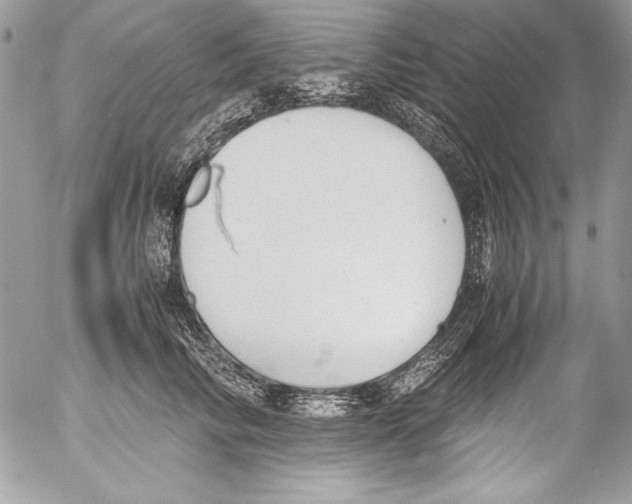 X0000052610710200507292149