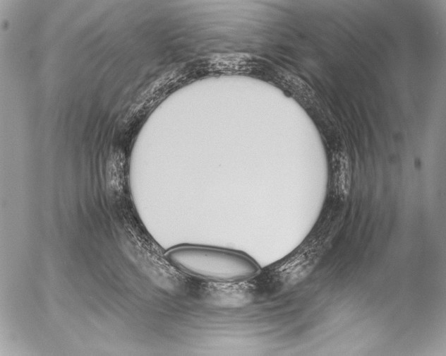 X0000052610712200507292149