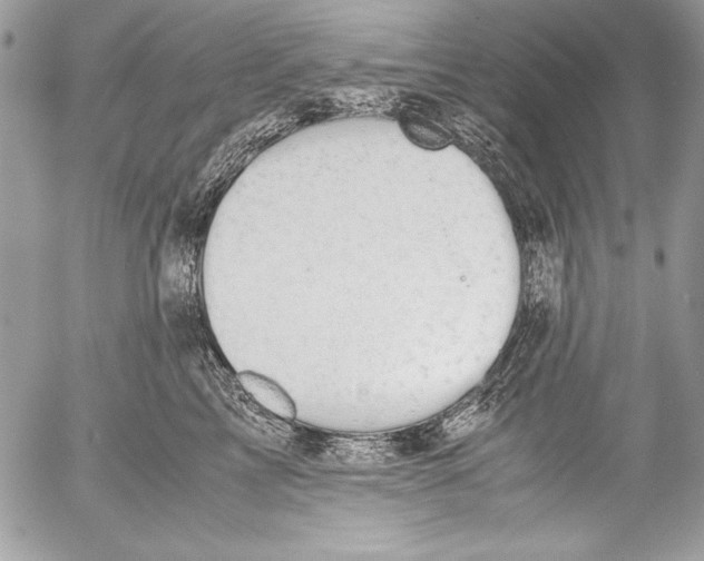 X0000052610713200507292149