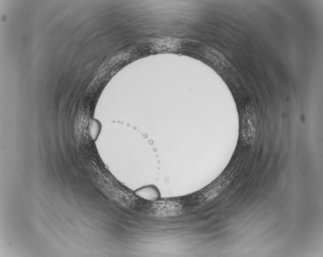 X0000052610714200507292149