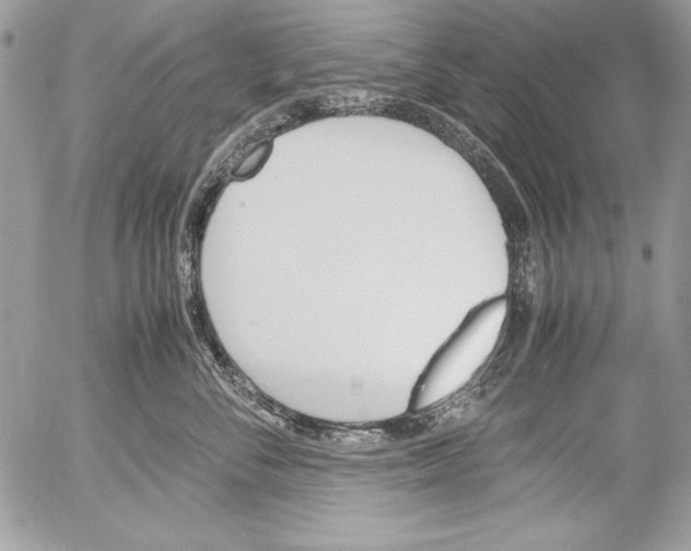 X0000052610716200507292149