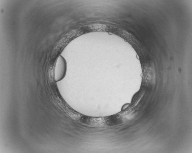 X0000052610717200507292149