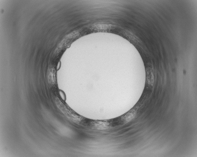 X0000052610718200507292149