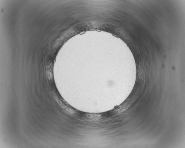 X0000052610719200507292149