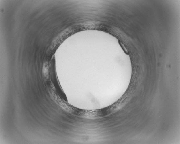 X0000052610720200507292149