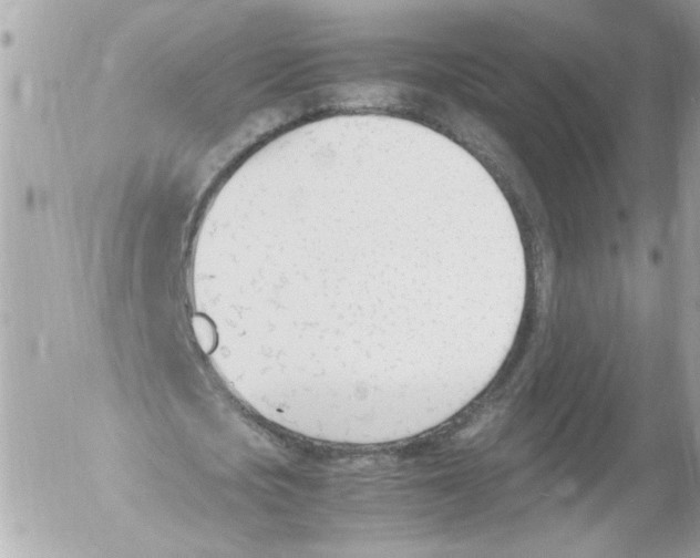 X0000052610721200507292148