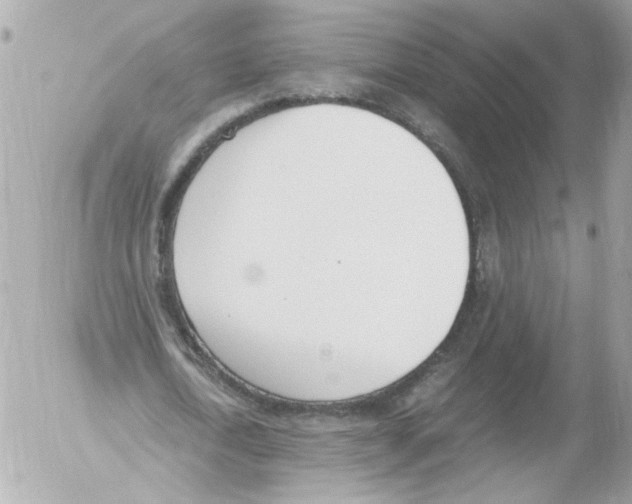 X0000052610722200507292148