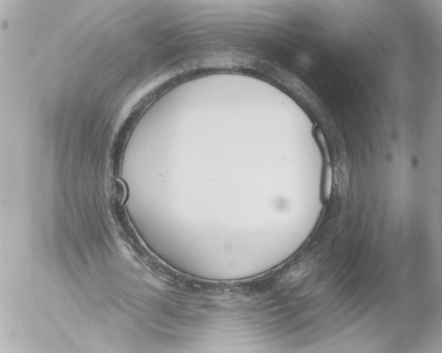 X0000052610724200507292148