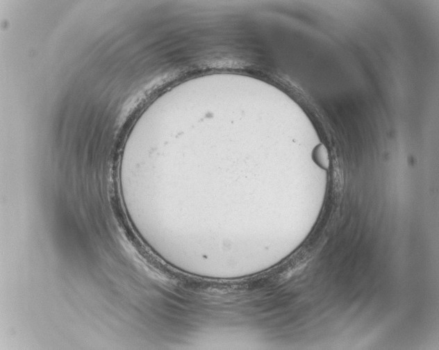 X0000052610725200507292148