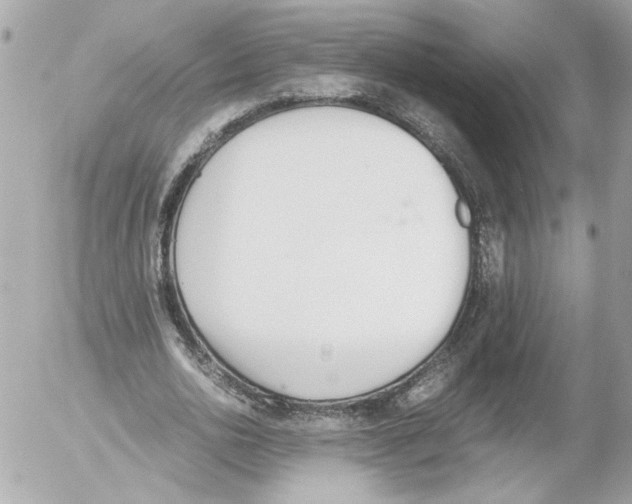 X0000052610726200507292148