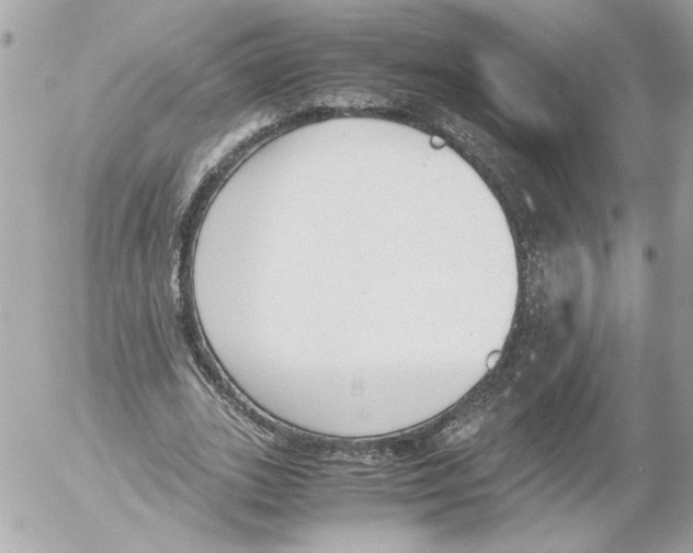 X0000052610727200507292148