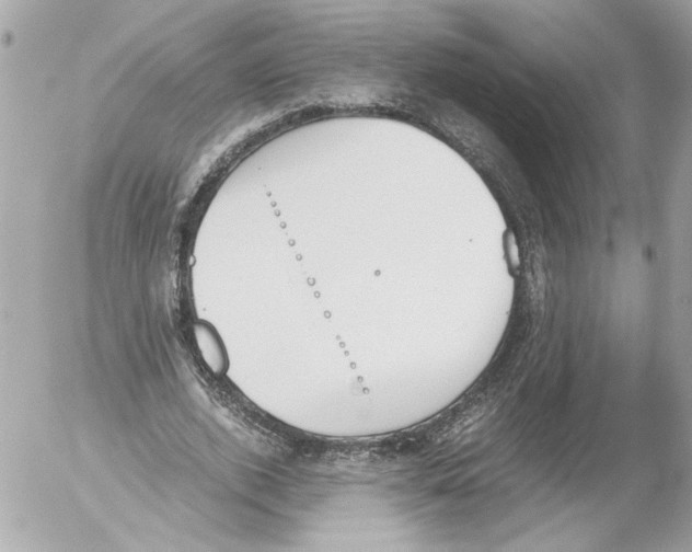 X0000052610728200507292148