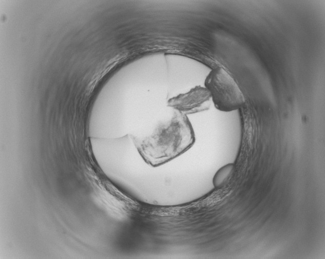 X0000052610729200507292148