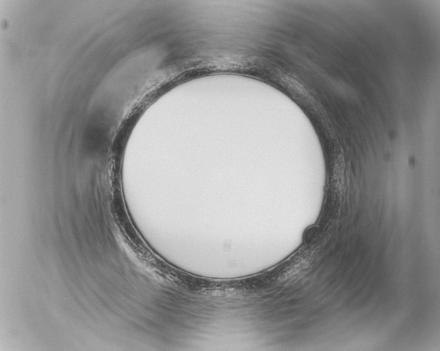 X0000052610730200507292148