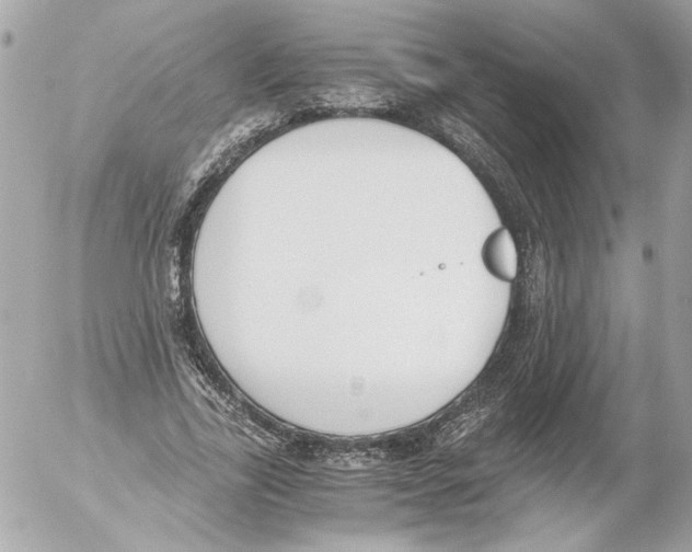 X0000052610731200507292148