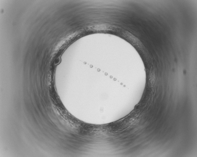 X0000052610732200507292148