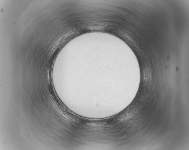 X0000052610733200507292148