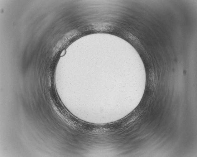 X0000052610734200507292148